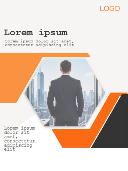 Business Introduction Flayer Orange black whitw hexagonal