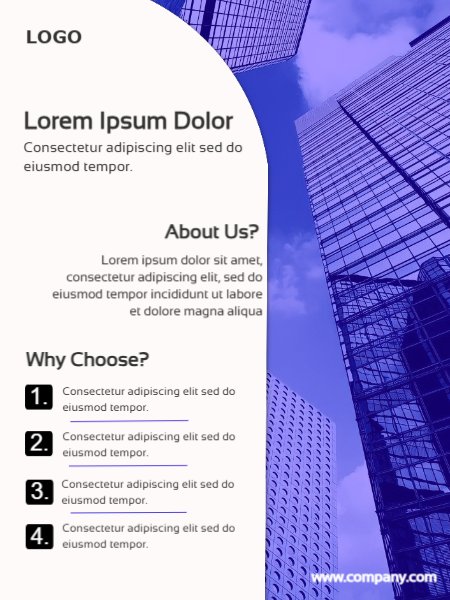 Business INTRO Flayer with Why Choose - Modern Classic blue